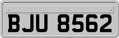 BJU8562