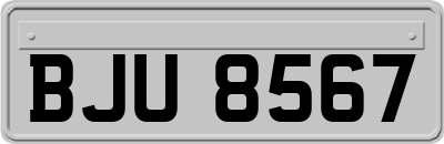 BJU8567