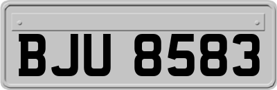 BJU8583