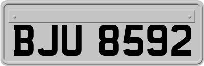 BJU8592