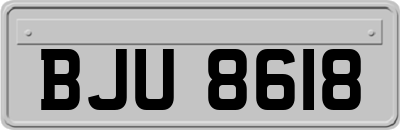 BJU8618
