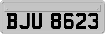 BJU8623