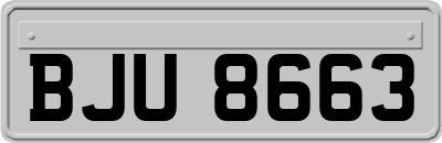 BJU8663