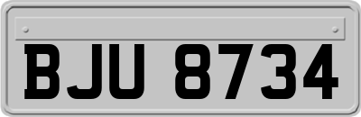 BJU8734