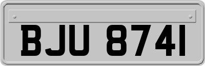 BJU8741
