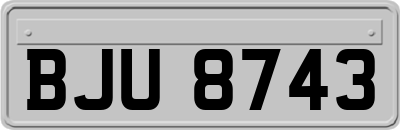 BJU8743