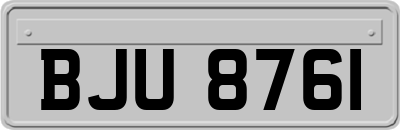 BJU8761
