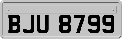 BJU8799