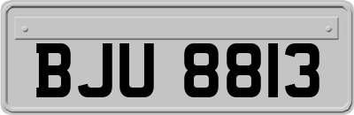 BJU8813