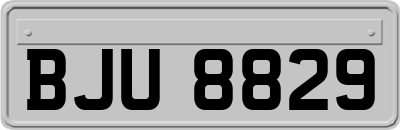 BJU8829