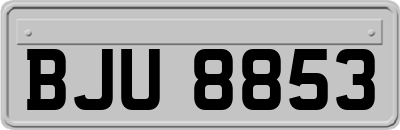 BJU8853