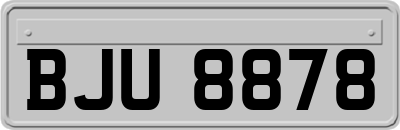 BJU8878