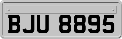 BJU8895