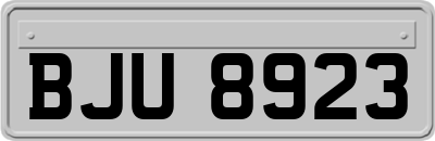 BJU8923