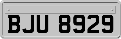 BJU8929