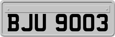 BJU9003
