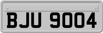 BJU9004