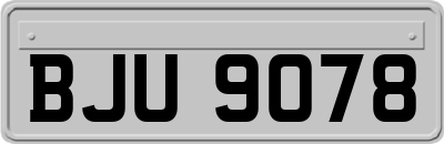 BJU9078