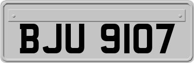 BJU9107
