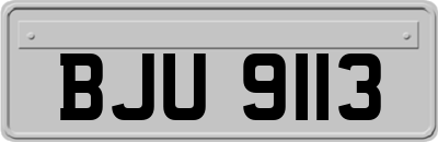 BJU9113