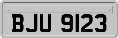 BJU9123