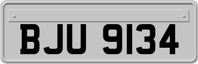 BJU9134