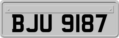 BJU9187
