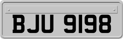 BJU9198