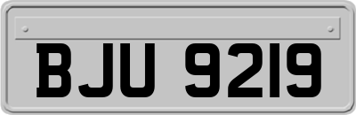 BJU9219