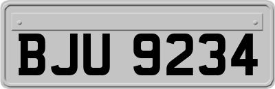 BJU9234