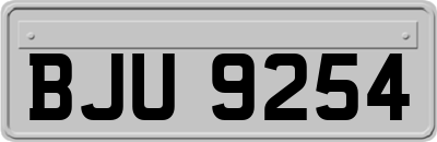 BJU9254