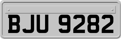 BJU9282