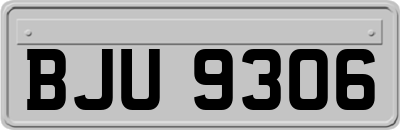 BJU9306