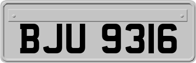 BJU9316