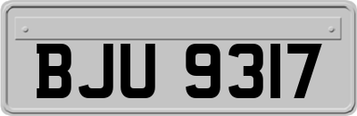 BJU9317