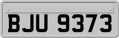 BJU9373
