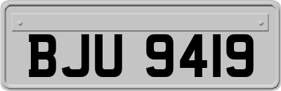 BJU9419