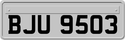 BJU9503