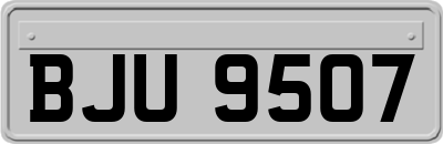 BJU9507