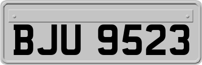BJU9523