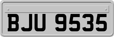 BJU9535