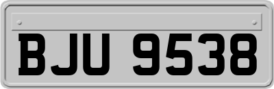 BJU9538
