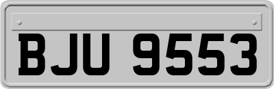 BJU9553