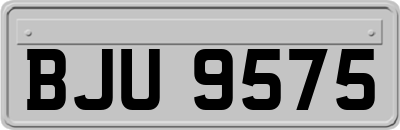 BJU9575