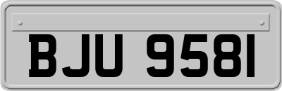 BJU9581