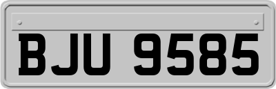 BJU9585