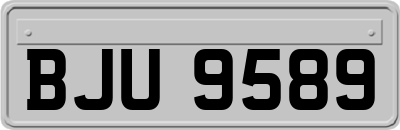 BJU9589