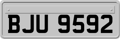 BJU9592