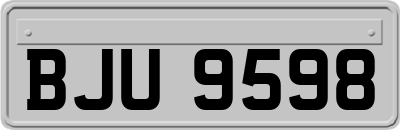 BJU9598