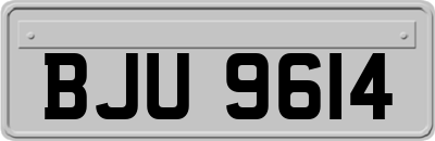 BJU9614